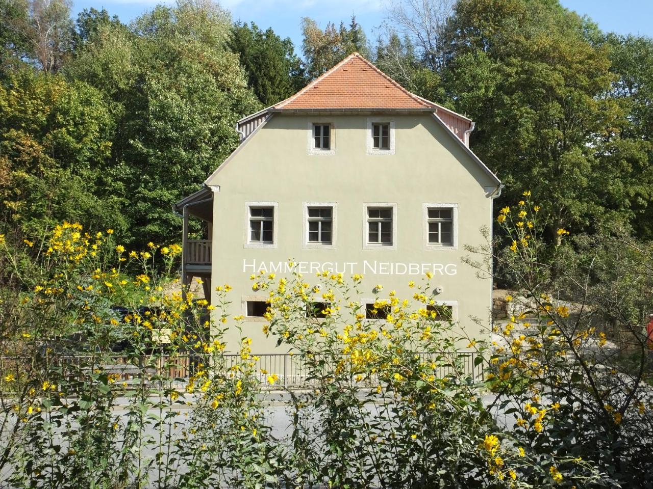 "Gesindestube" - Hammergut Neidberg Rosenthal-Bielatal Exterior photo